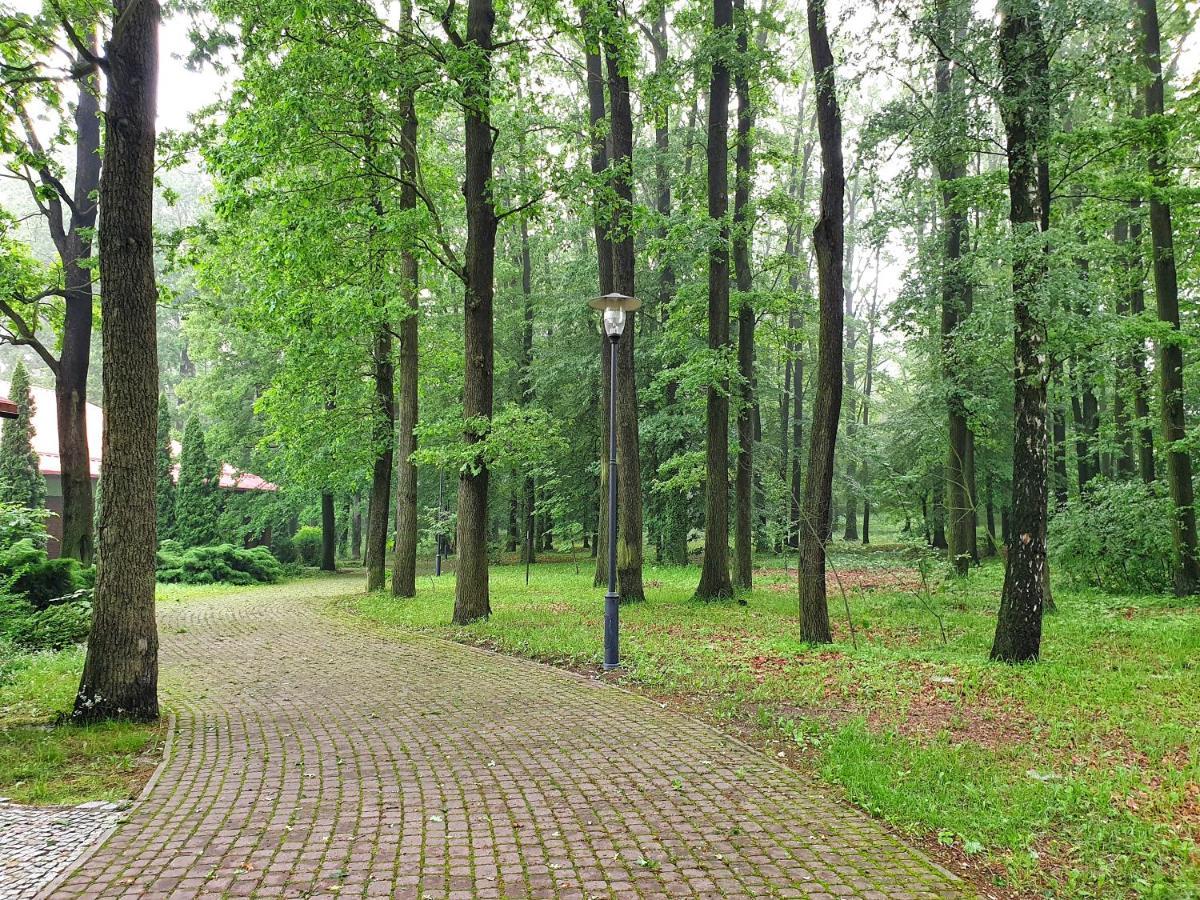 Stacja Nowa Gdynia Bed & Breakfast Aquapark Згеж Екстериор снимка