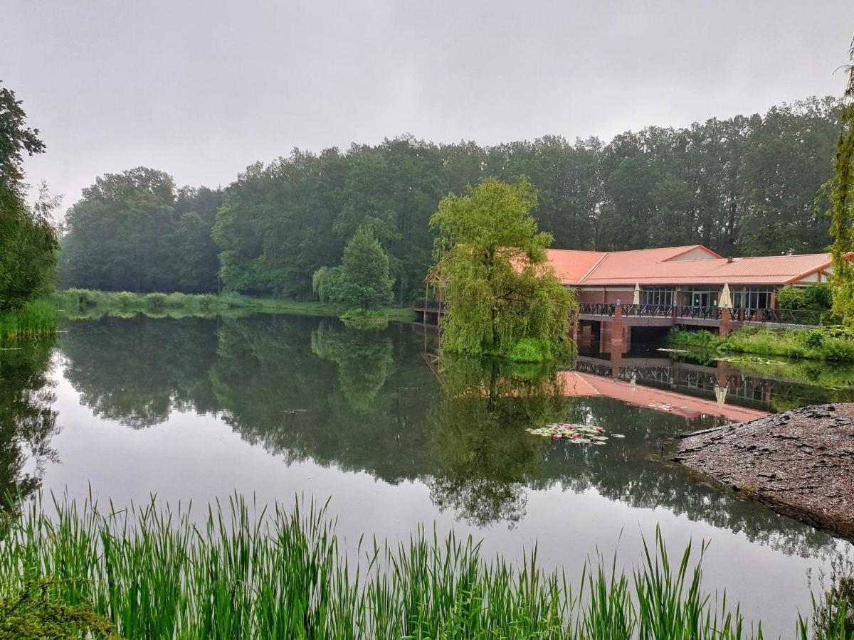 Stacja Nowa Gdynia Bed & Breakfast Aquapark Згеж Екстериор снимка