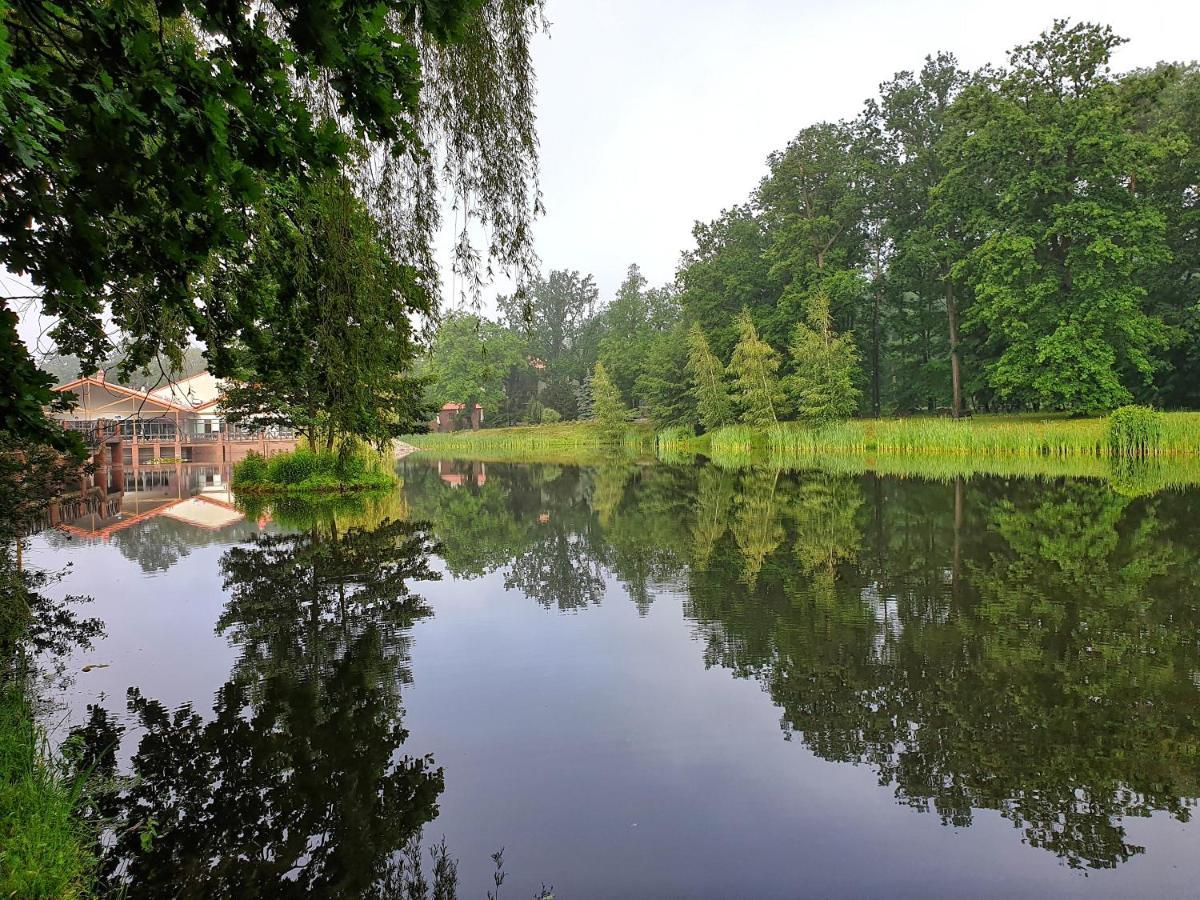 Stacja Nowa Gdynia Bed & Breakfast Aquapark Згеж Екстериор снимка
