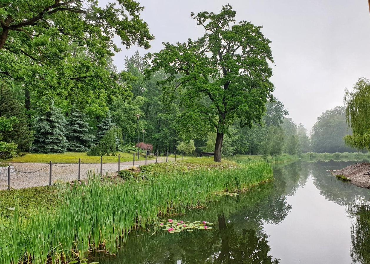 Stacja Nowa Gdynia Bed & Breakfast Aquapark Згеж Екстериор снимка