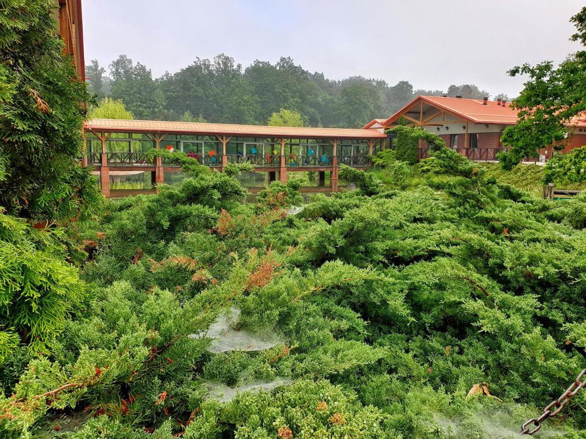 Stacja Nowa Gdynia Bed & Breakfast Aquapark Згеж Екстериор снимка