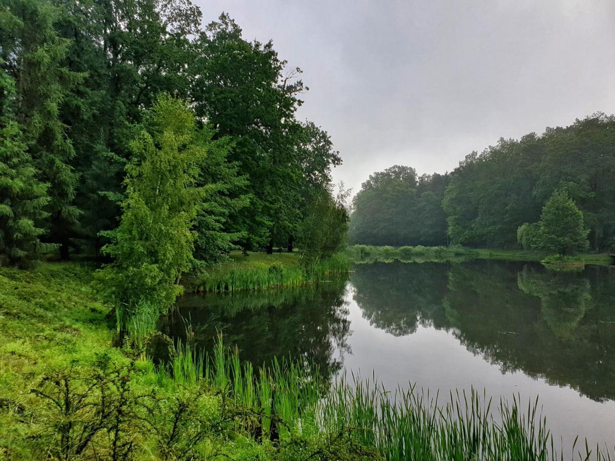 Stacja Nowa Gdynia Bed & Breakfast Aquapark Згеж Екстериор снимка