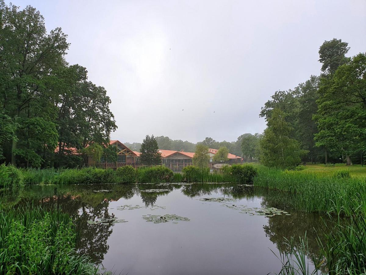Stacja Nowa Gdynia Bed & Breakfast Aquapark Згеж Екстериор снимка