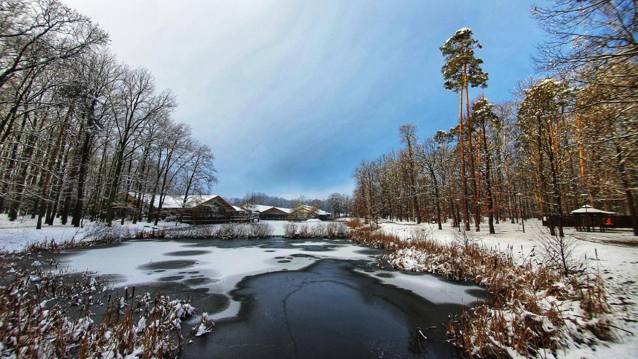 Stacja Nowa Gdynia Bed & Breakfast Aquapark Згеж Екстериор снимка
