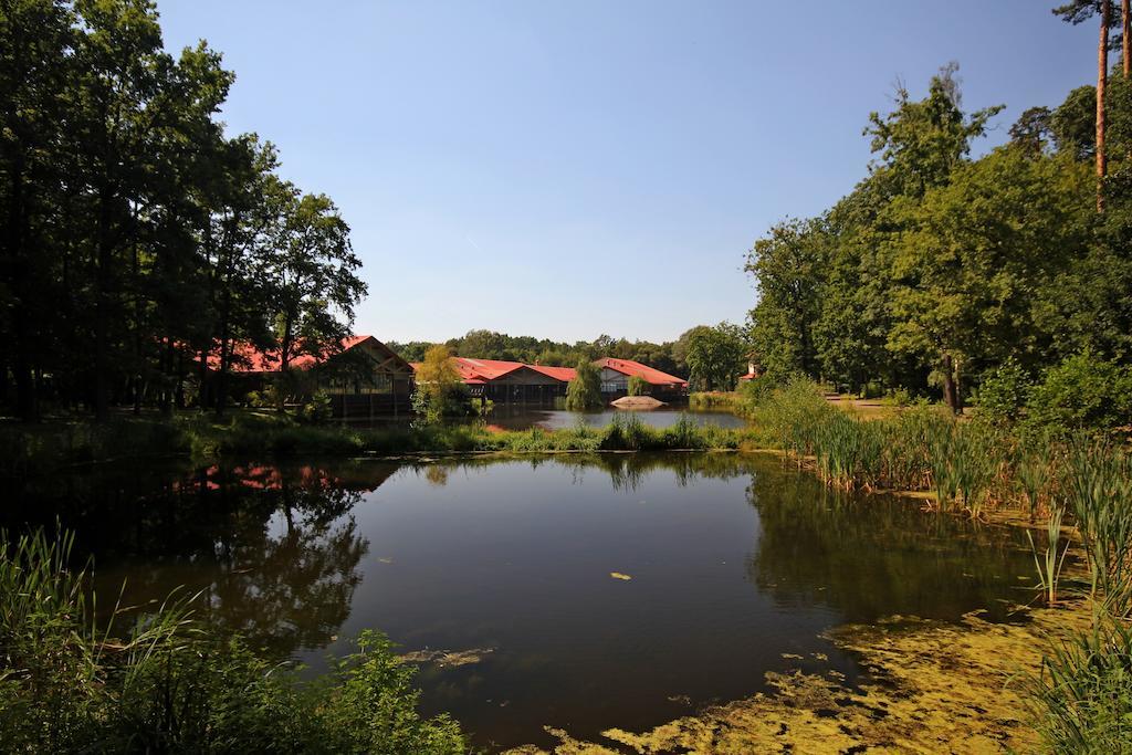 Stacja Nowa Gdynia Bed & Breakfast Aquapark Згеж Екстериор снимка